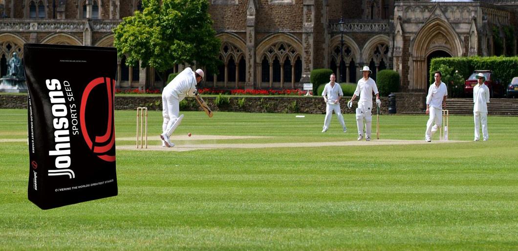 Rapid establishing grass seed mixtures for sports grounds